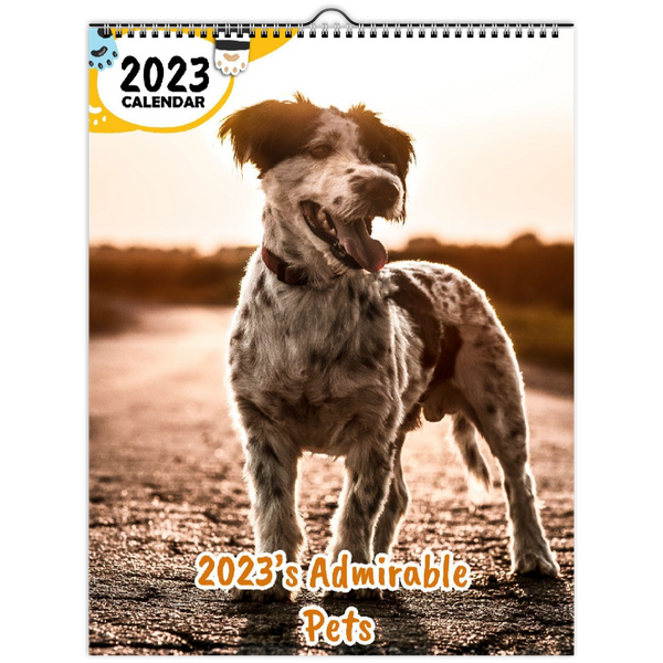 2023's Admirable Pets: 2023 Wall Calendar