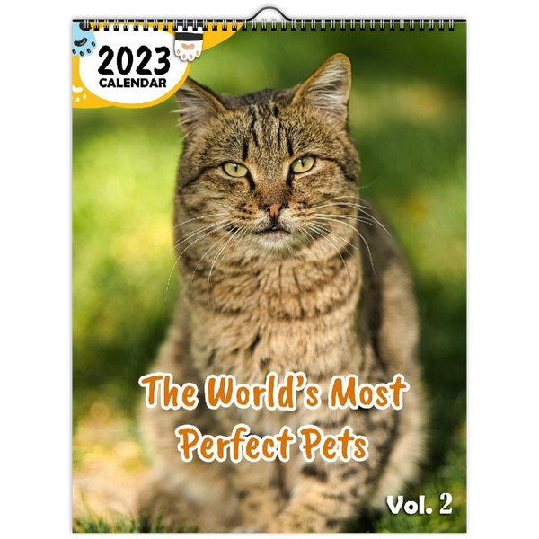 The World's Most Perfect Pets Volume Two: 2023 Wall Calendar