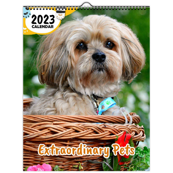 Extraordinary Pets: 2023 Wall Calendar