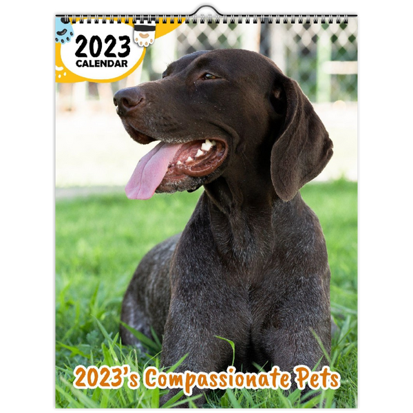 2023's Compassionate Pets: 2023 Wall Calendar