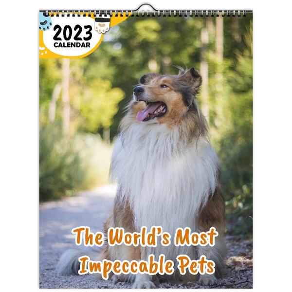 The World's Most Impeccable Pets: 2023 Wall Calendar