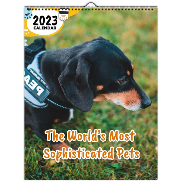 The World's Most Sophisticated Pets: 2023 Wall Calendar