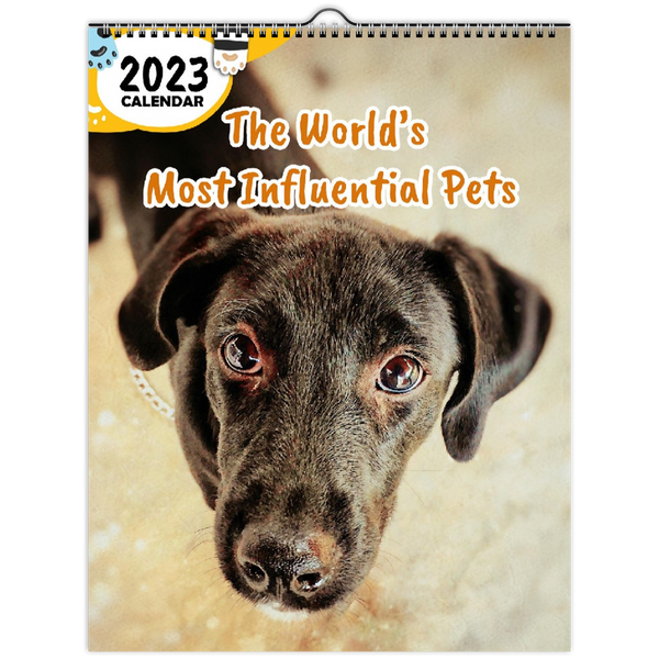 The World's Most Influential Pets: 2023 Wall Calendar
