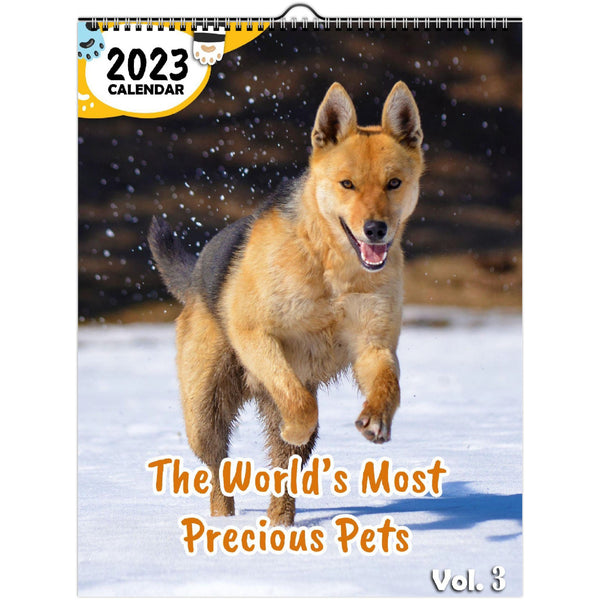 The World's Most Precious Pets Volume Three: 2023 Wall Calendar
