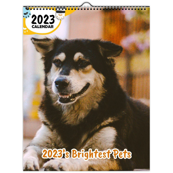 2023's Brightest Pets: 2023 Wall Calendar