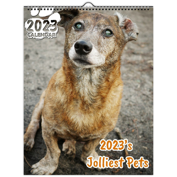 2023's Jolliest Pets: 2023 Wall Calendar