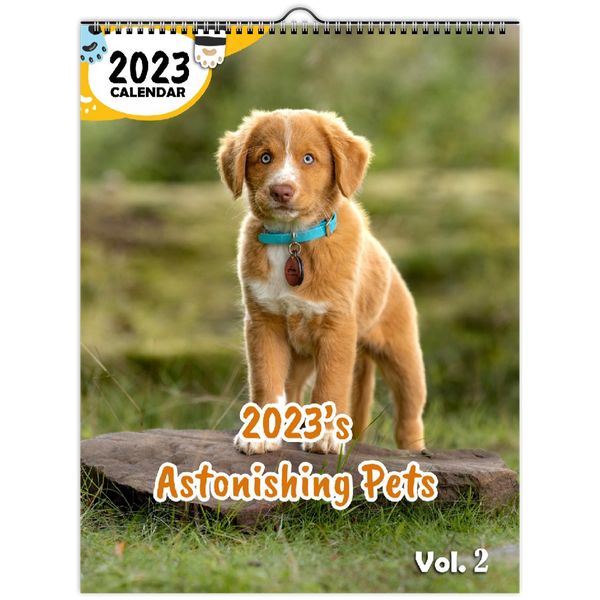 2023's Astonishing Pets Volume Two: 2023 Wall Calendar