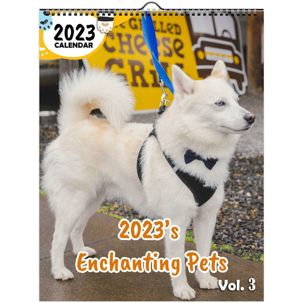 2023's Enchanting Pets Volume Three: 2023 Wall Calendar