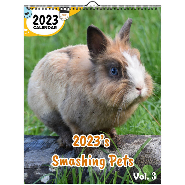 2023's Smashing Pets Volume Three: 2023 Wall Calendar
