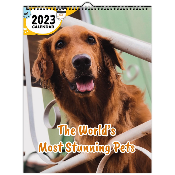 The World's Most Stunning Pets: 2023 Wall Calendar