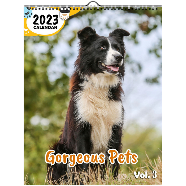 Gorgeous Pets Volume Three: 2023 Wall Calendar