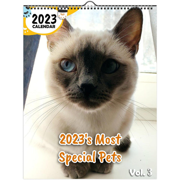 2023's Most Special Pets Volume Three: 2023 Wall Calendar