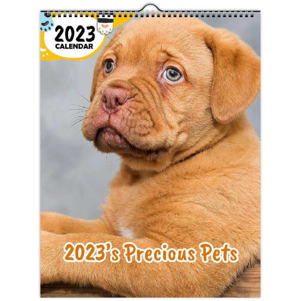 2023's Precious Pets: 2023 Wall Calendar