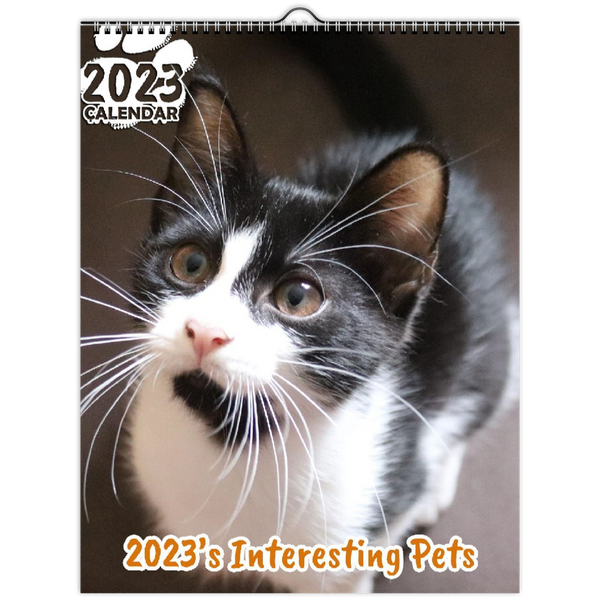 2023's Interesting Pets: 2023 Wall Calendar