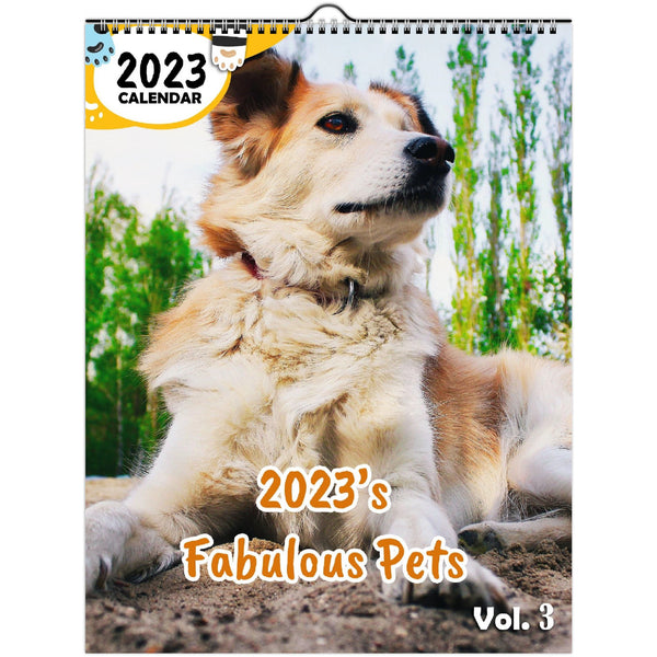 2023's Fabulous Pets Volume Three: 2023 Wall Calendar