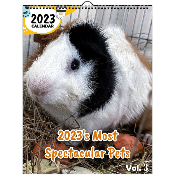 2023's Most Spectacular Pets Volume Three: 2023 Wall Calendar