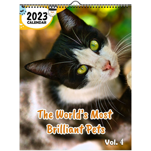 The World's Most Brilliant Pets Volume Four: 2023 Wall Calendar