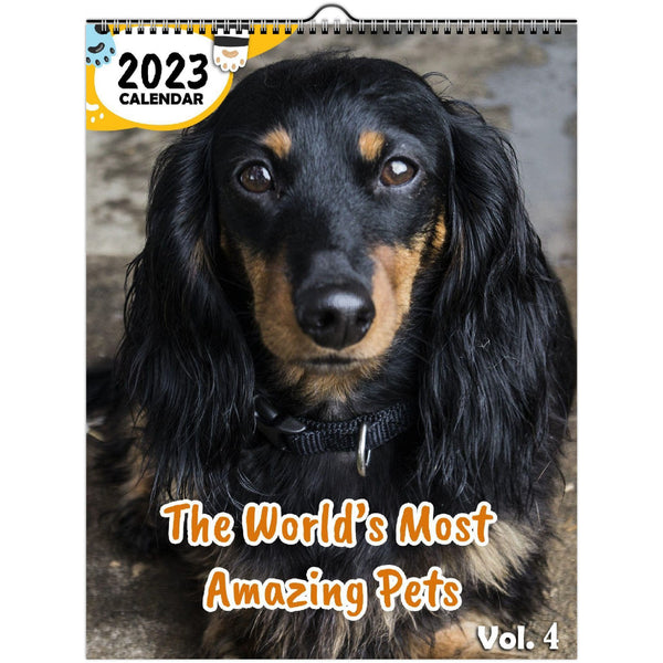 The World's Most Amazing Pets Volume Four: 2023 Wall Calendar