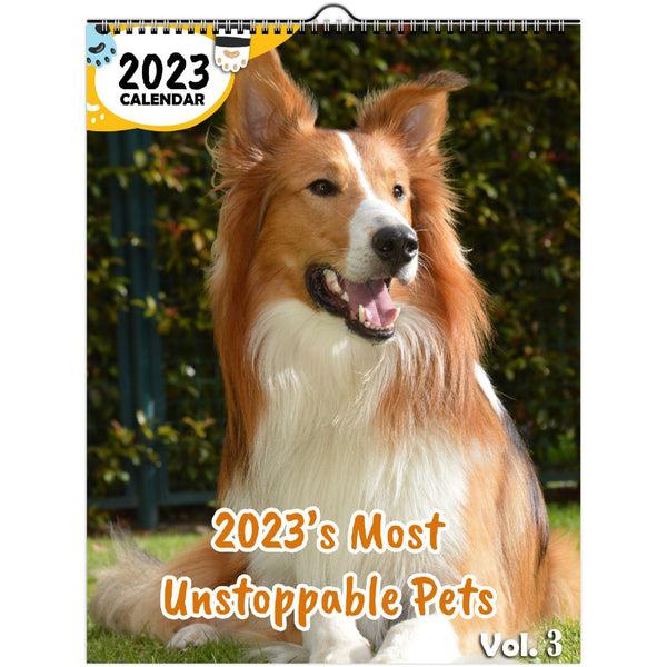 2023's Most Unstoppable Pets Volume Three: 2023 Wall Calendar