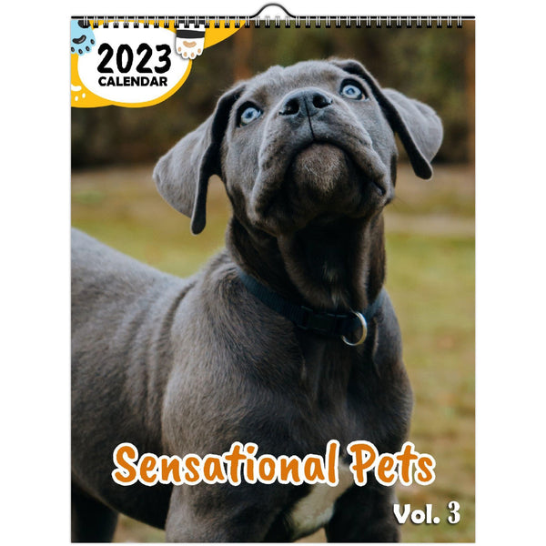 Sensational Pets Volume Three: 2023 Wall Calendar