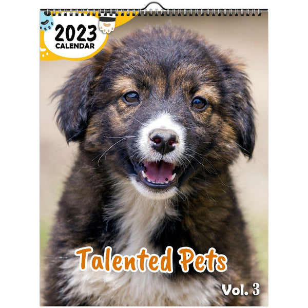 Talented Pets Volume Three: 2023 Wall Calendar