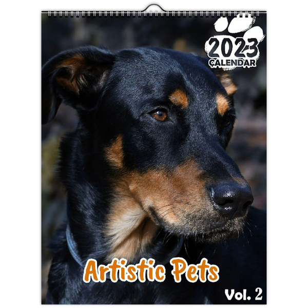 Artistic Pets Volume Two: 2023 Wall Calendar