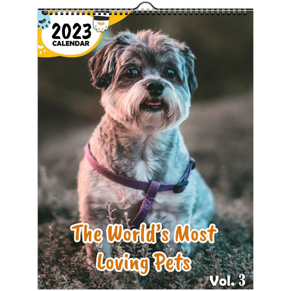 The World's Most Loving Pets Volume Three: 2023 Wall Calendar