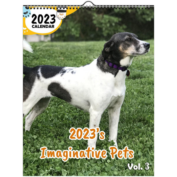 2023's Imaginative Pets Volume Three: 2023 Wall Calendar