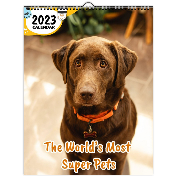 The World's Most Super Pets: 2023 Wall Calendar