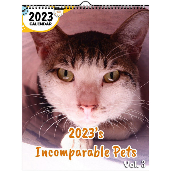 2023's Incomparable Pets Volume Three: 2023 Wall Calendar