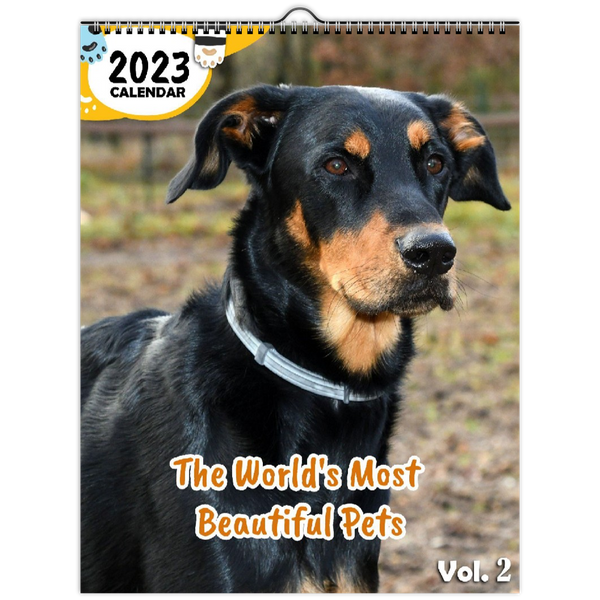 The World's Most Beautiful Pets Volume Two: 2023 Wall Calendar