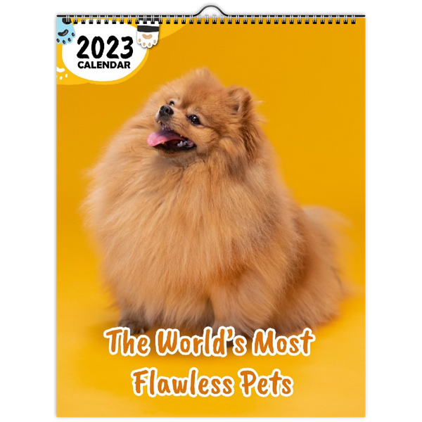 The World's Most Flawless Pets: 2023 Wall Calendar