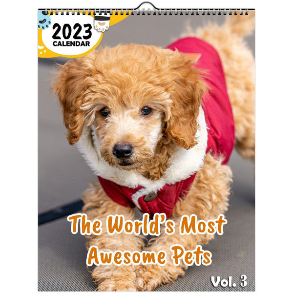 The World's Most Awesome Pets Volume Three: 2023 Wall Calendar