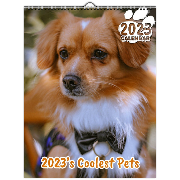 2023's Coolest Pets: 2023 Wall Calendar