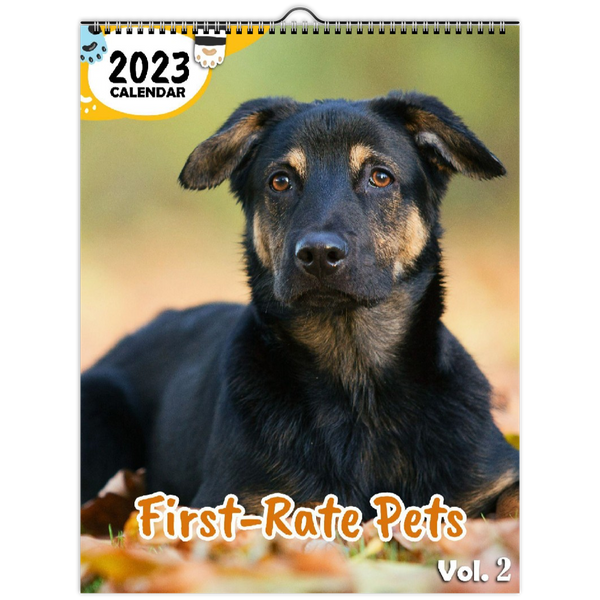 First-Rate Pets Volume Two: 2023 Wall Calendar