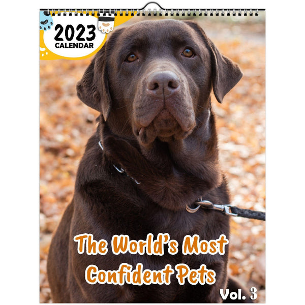 The World's Most Confident Pets Volume Three: 2023 Wall Calendar