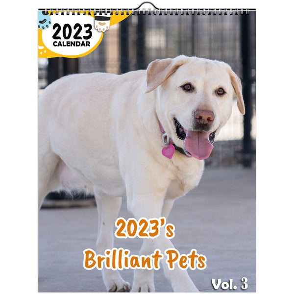 2023's Brilliant Pets Volume Three: 2023 Wall Calendar