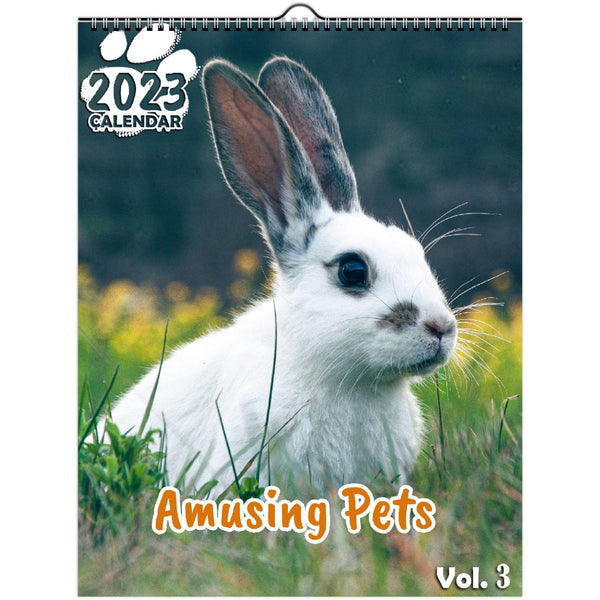 Amusing Pets Volume Three: 2023 Wall Calendar