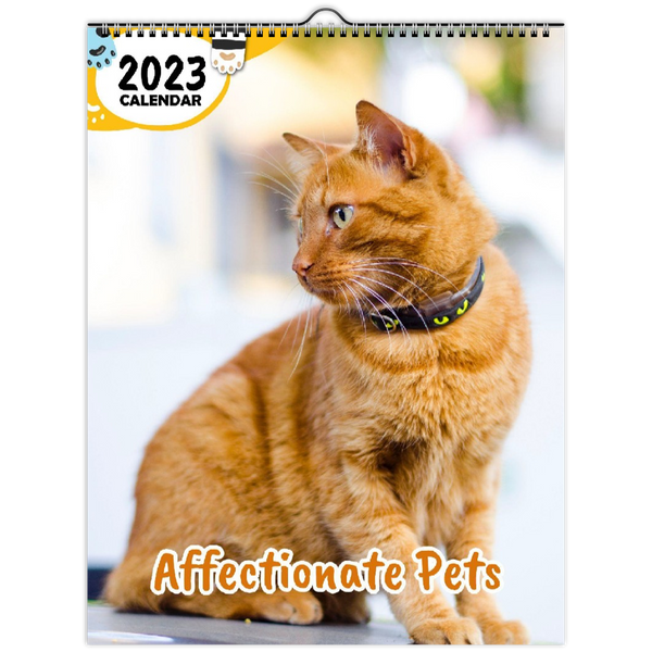 Affectionate Pets: 2023 Wall Calendar