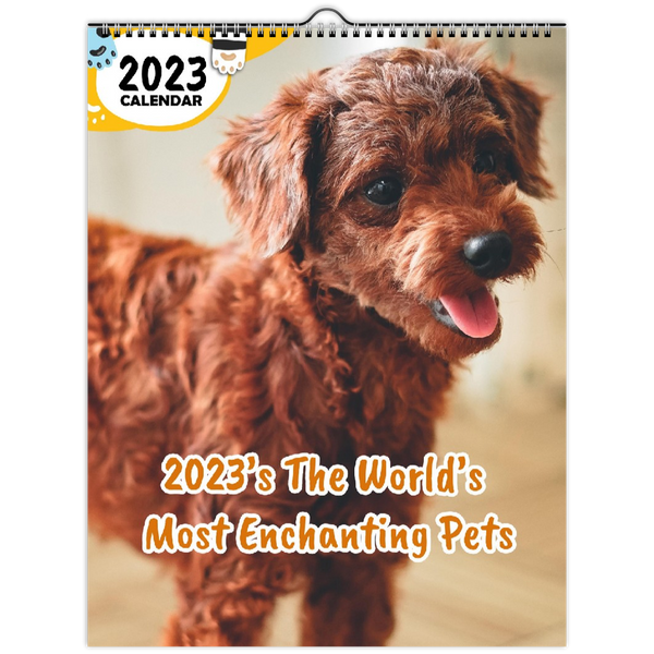 2023's The World's Most Enchanting Pets: 2023 Wall Calendar