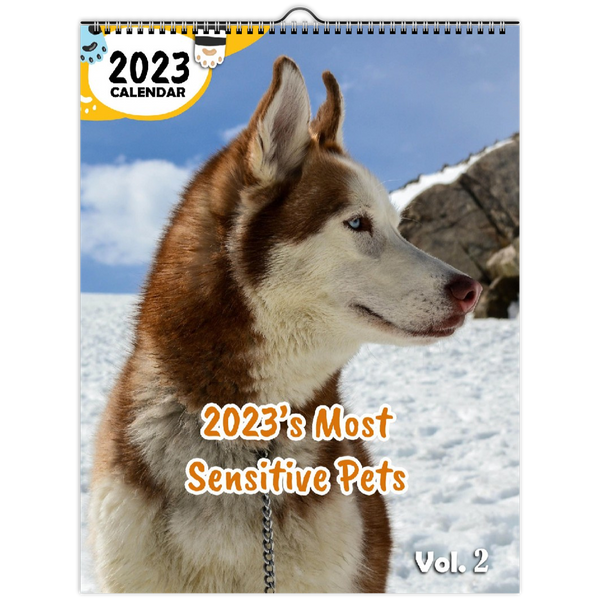2023's Most Sensitive Pets Volume Two: 2023 Wall Calendar