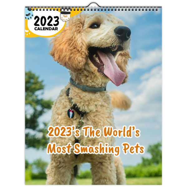 2023's The World's Most Smashing Pets: 2023 Wall Calendar