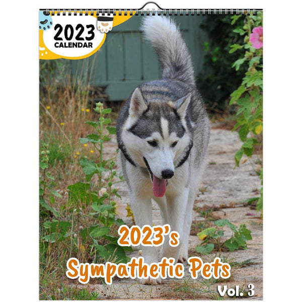 2023's Sympathetic Pets Volume Three: 2023 Wall Calendar