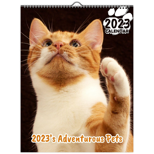 2023's Adventurous Pets: 2023 Wall Calendar