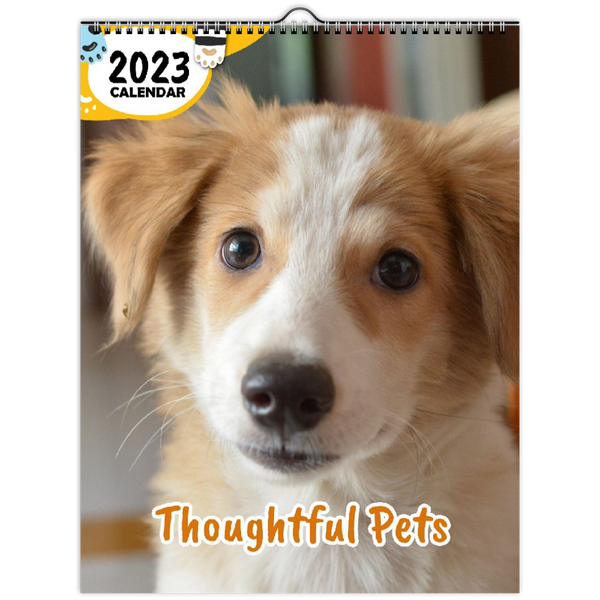 Thoughtful Pets: 2023 Wall Calendar