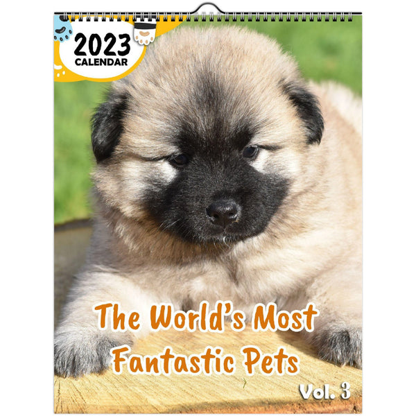 The World's Most Fantastic Pets Volume Three: 2023 Wall Calendar