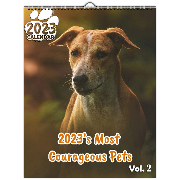 2023's Most Courageous Pets Volume Two: 2023 Wall Calendar
