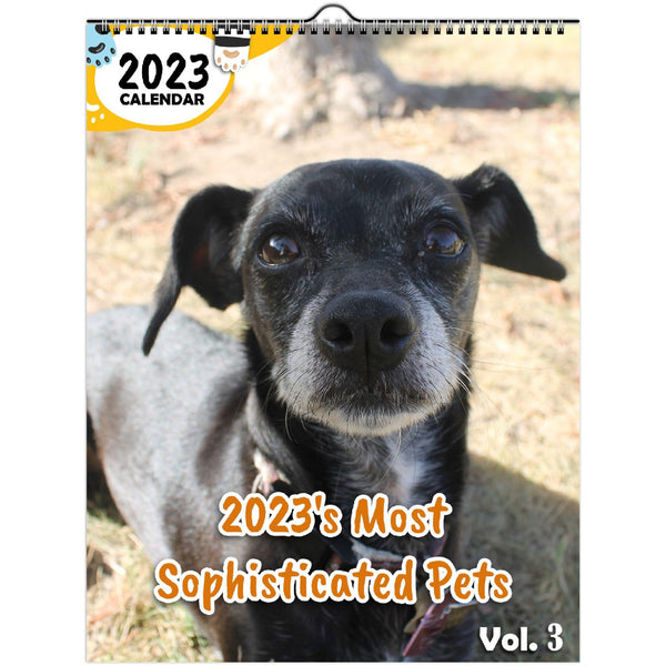 2023's Most Sophisticated Pets Volume Three: 2023 Wall Calendar