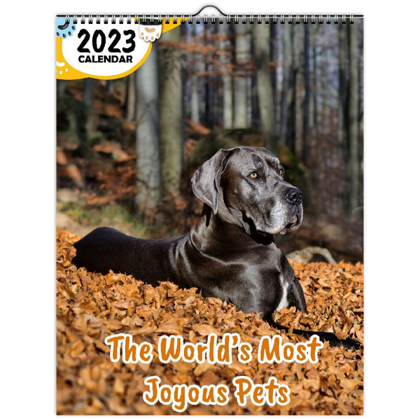 The World's Most Joyous Pets: 2023 Wall Calendar