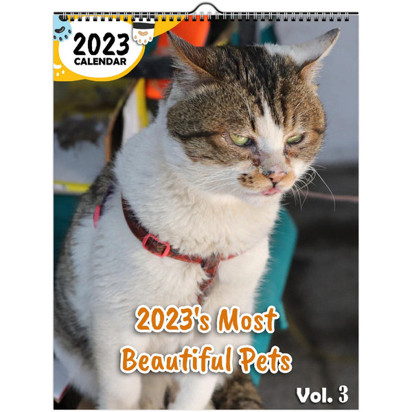 2023's Most Beautiful Pets Volume Three: 2023 Wall Calendar